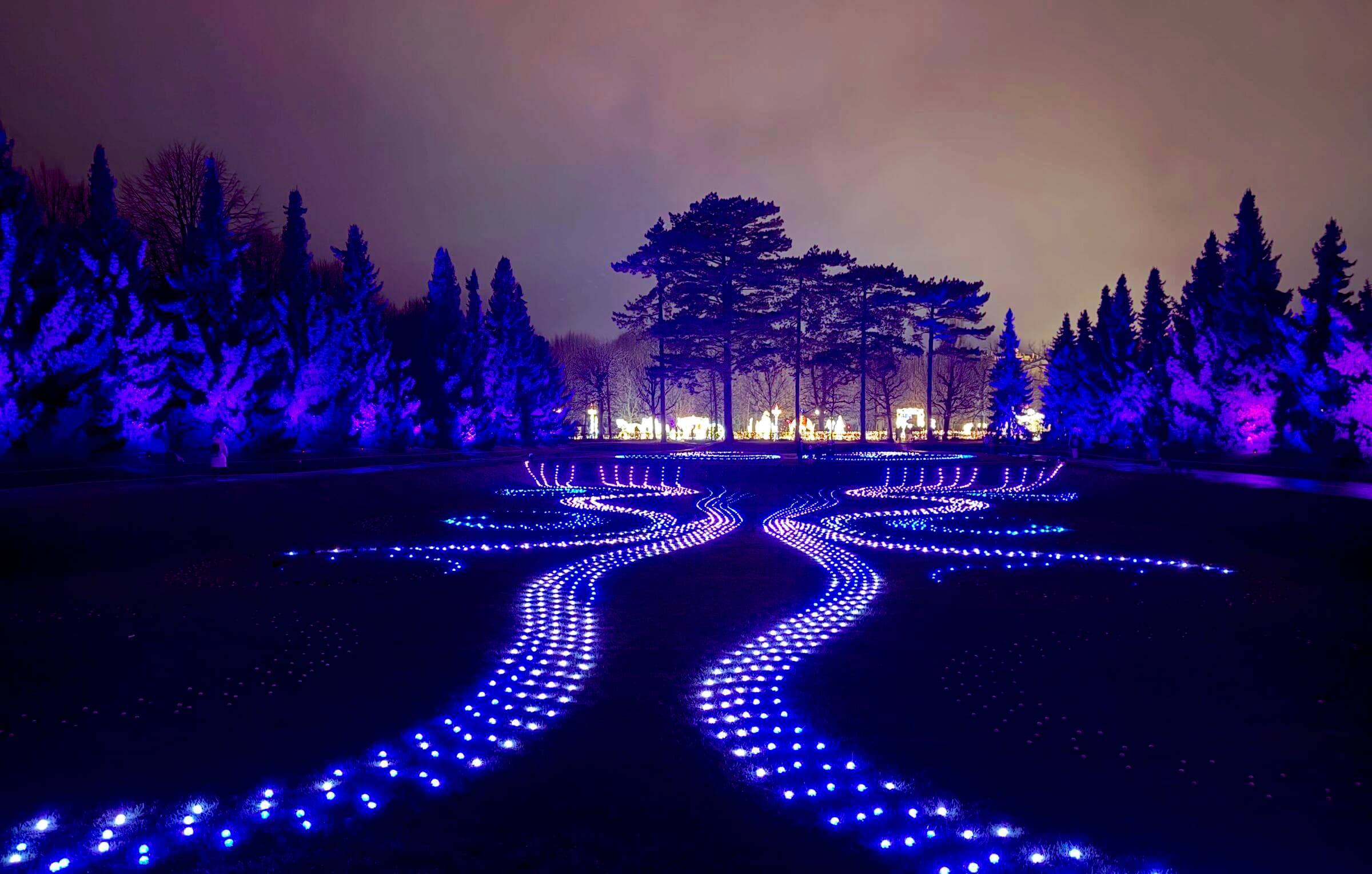 Ukrainians in Vienna